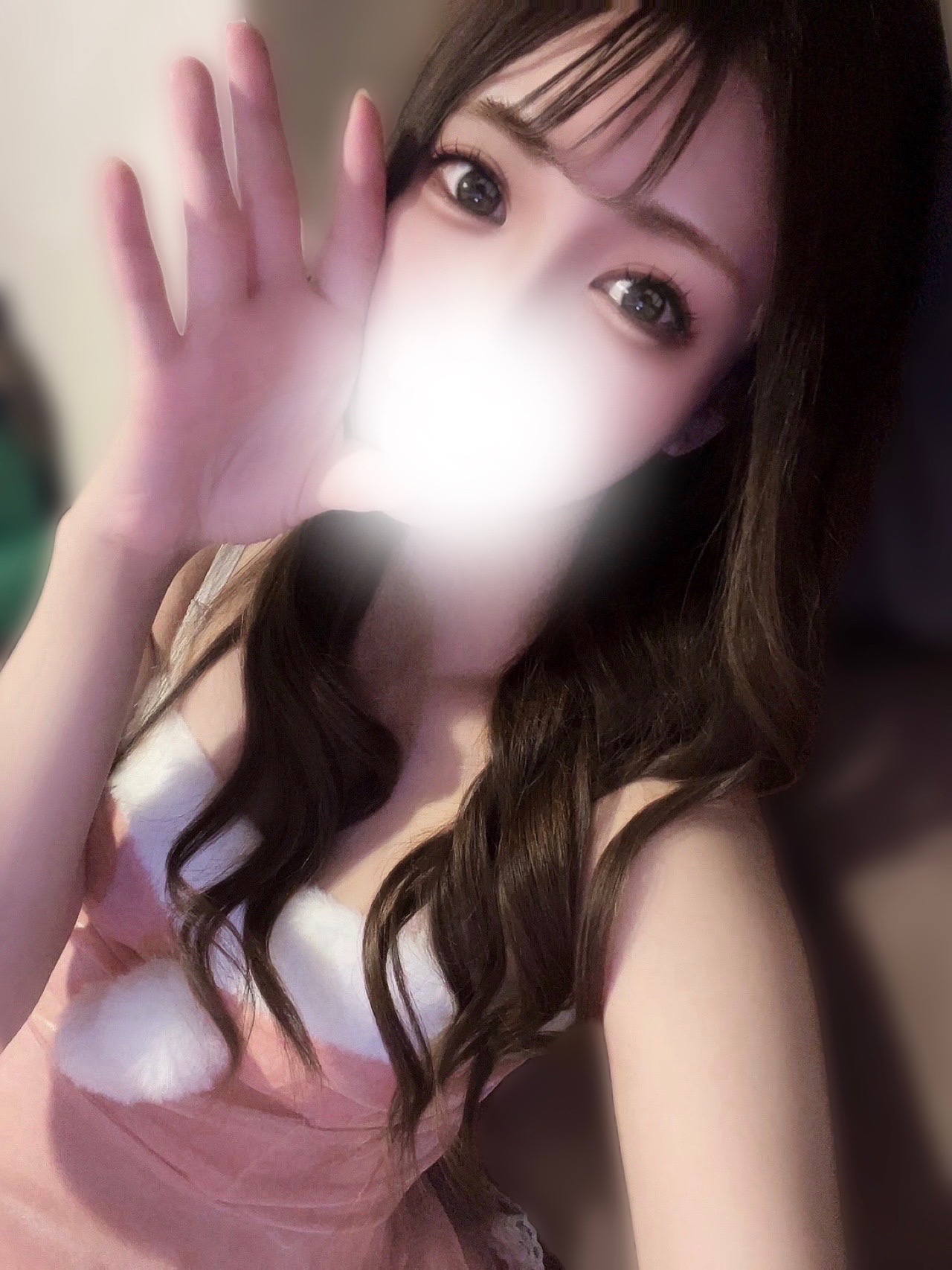 あんさんの写真