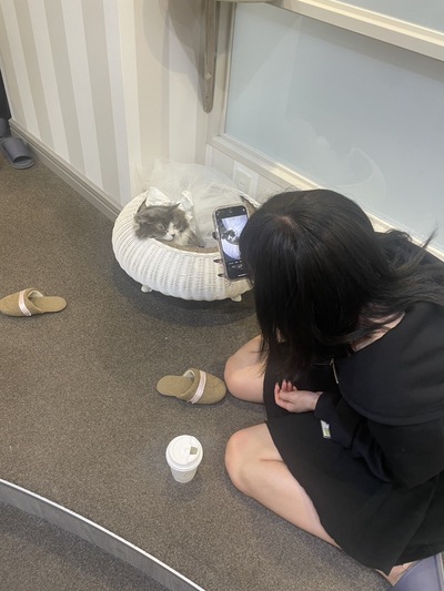 のどかさんの写真